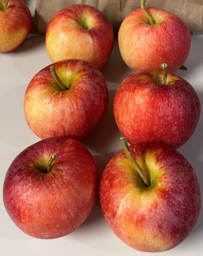September 13, 2024 New Jersey Weekly Apple Maturity Review